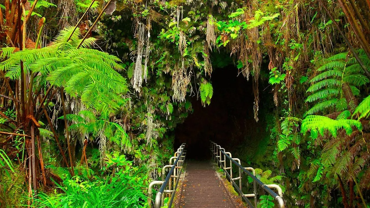 Bed & Breakfast Volcano Park Rentals